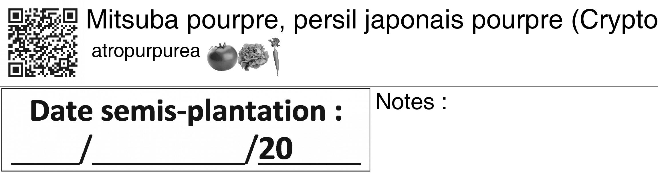 Étiquette de : Cryptotaenia japonica atropurpurea - format c - style noire60_basiquegrrvhel avec qrcode et comestibilité simplifiée