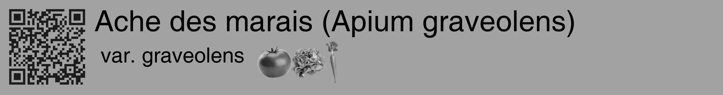 Étiquette de : Apium graveolens var. graveolens - format c - style noire38_basique_basiquehel avec qrcode et comestibilité simplifiée