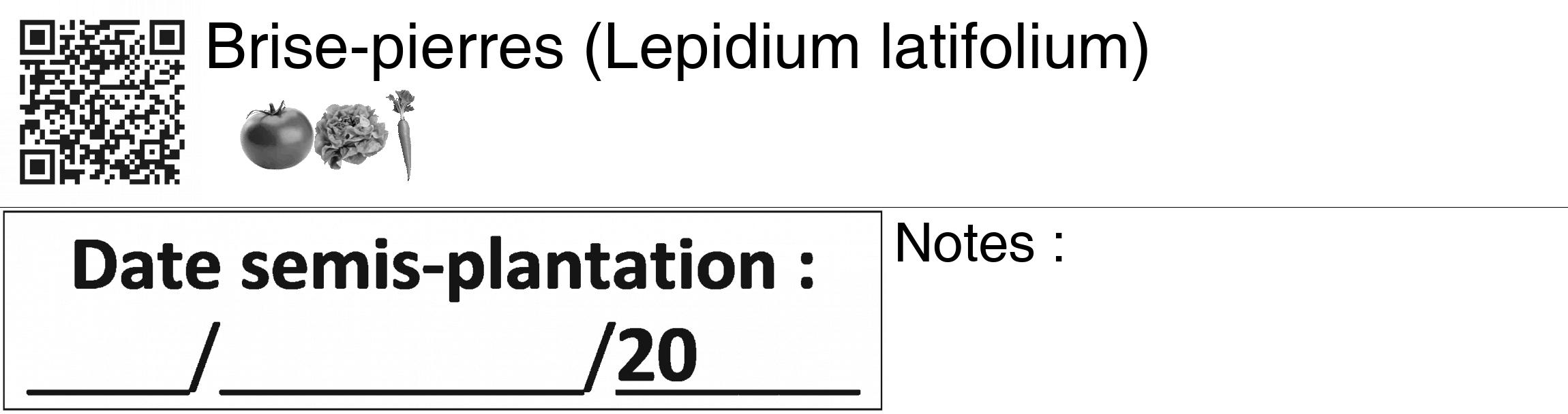 Étiquette de : Lepidium latifolium - format c - style noire60_basiquegrrvhel avec qrcode et comestibilité simplifiée