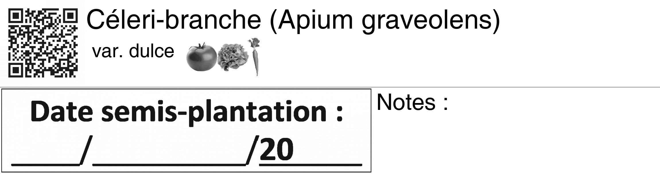 Étiquette de : Apium graveolens var. dulce - format c - style noire60_basiquegrrvhel avec qrcode et comestibilité simplifiée