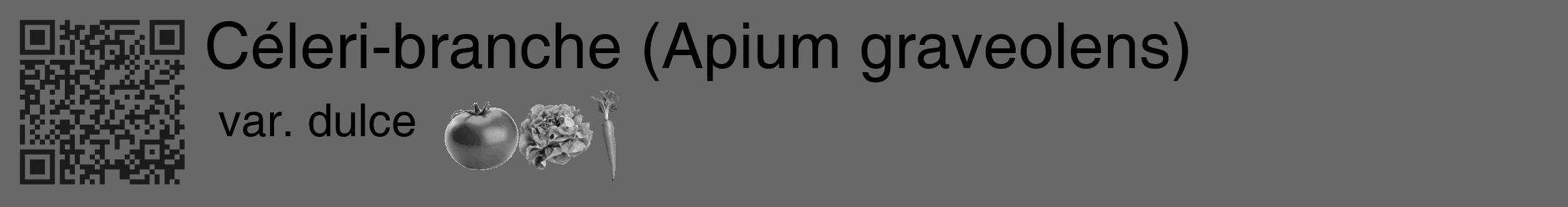 Étiquette de : Apium graveolens var. dulce - format c - style noire6_basique_basiquehel avec qrcode et comestibilité simplifiée