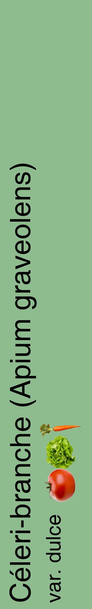 Étiquette de : Apium graveolens var. dulce - format c - style noire13_basiquehel avec comestibilité simplifiée