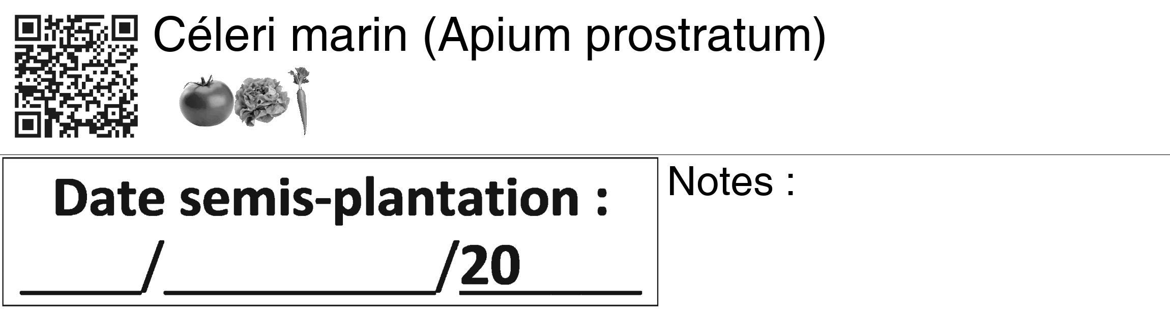Étiquette de : Apium prostratum - format c - style noire60_basiquegrrvhel avec qrcode et comestibilité simplifiée