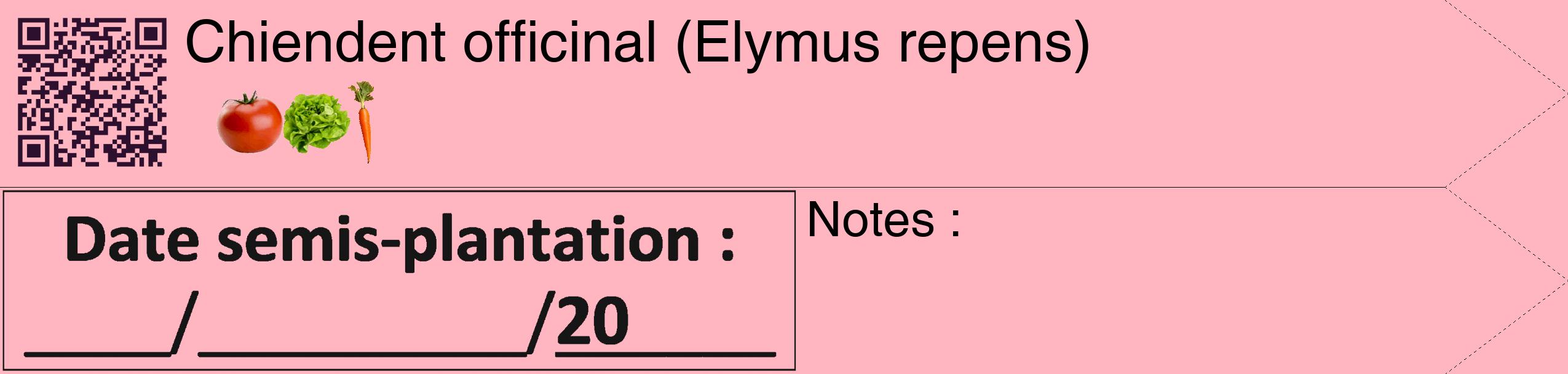 Étiquette de : Elymus repens - format c - style noire41_simple_simplehel avec qrcode et comestibilité simplifiée