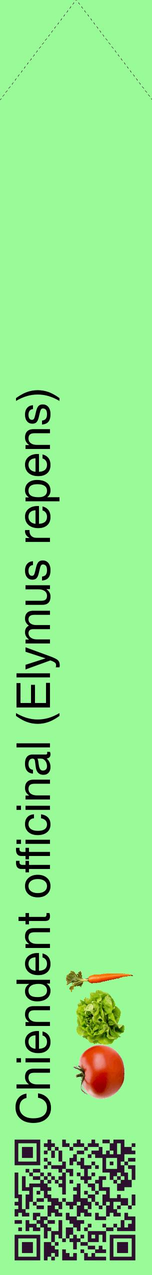Étiquette de : Elymus repens - format c - style noire14_simplehel avec qrcode et comestibilité simplifiée