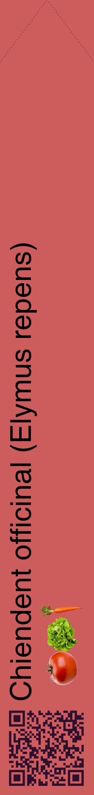 Étiquette de : Elymus repens - format c - style noire35_simplehel avec qrcode et comestibilité simplifiée