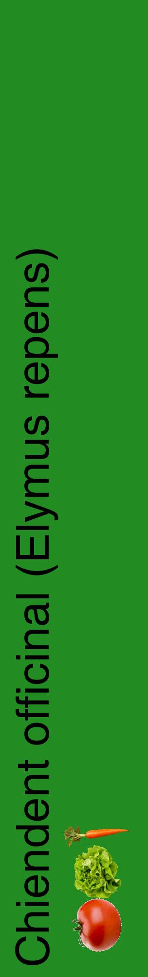 Étiquette de : Elymus repens - format c - style noire10_basiquehel avec comestibilité simplifiée