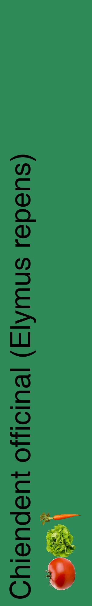Étiquette de : Elymus repens - format c - style noire11_basiquehel avec comestibilité simplifiée