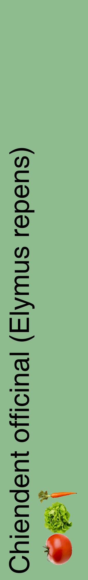 Étiquette de : Elymus repens - format c - style noire13_basiquehel avec comestibilité simplifiée