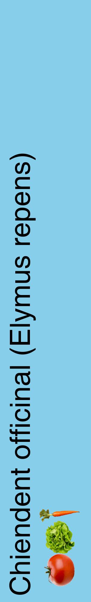 Étiquette de : Elymus repens - format c - style noire1_basiquehel avec comestibilité simplifiée