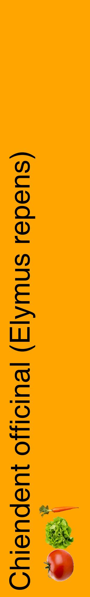 Étiquette de : Elymus repens - format c - style noire22_basiquehel avec comestibilité simplifiée
