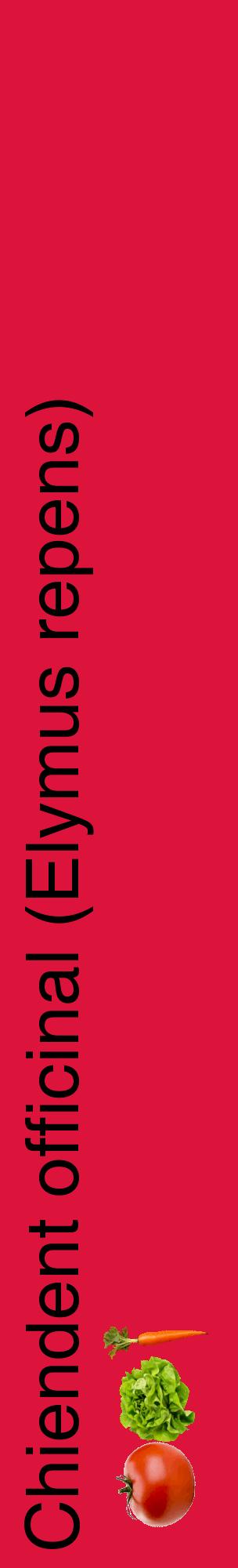 Étiquette de : Elymus repens - format c - style noire36_basiquehel avec comestibilité simplifiée