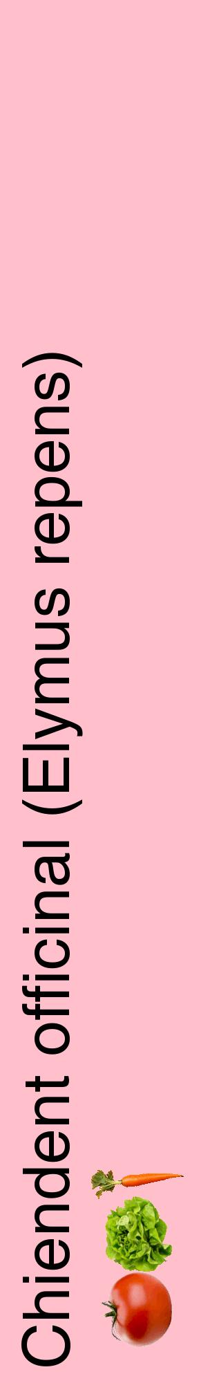 Étiquette de : Elymus repens - format c - style noire40_basiquehel avec comestibilité simplifiée