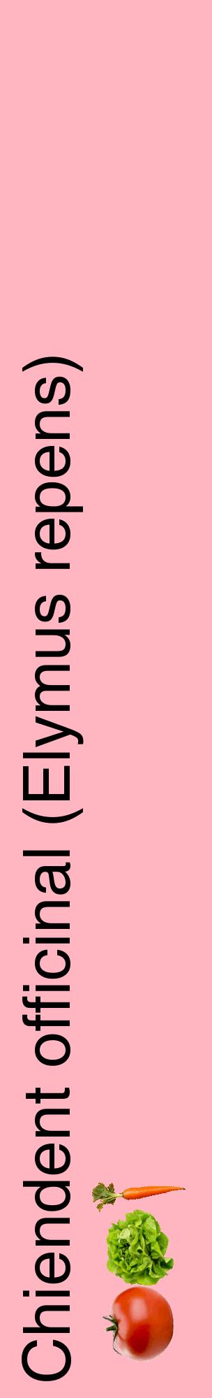 Étiquette de : Elymus repens - format c - style noire41_basiquehel avec comestibilité simplifiée