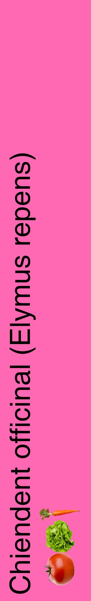 Étiquette de : Elymus repens - format c - style noire42_basiquehel avec comestibilité simplifiée