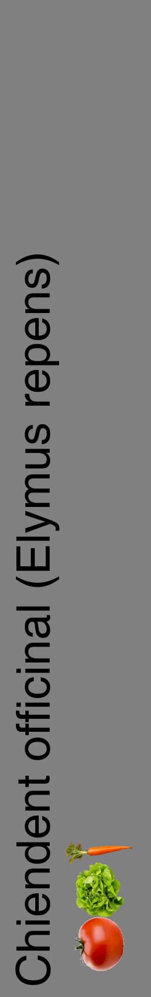 Étiquette de : Elymus repens - format c - style noire57_basiquehel avec comestibilité simplifiée
