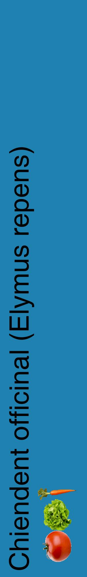 Étiquette de : Elymus repens - format c - style noire6_basiquehel avec comestibilité simplifiée