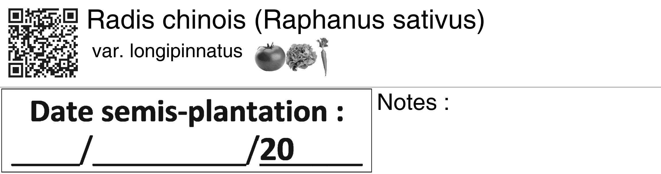 Étiquette de : Raphanus sativus var. longipinnatus - format c - style noire60_basiquegrrvhel avec qrcode et comestibilité simplifiée