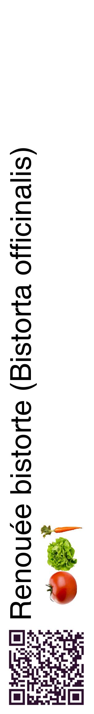 Étiquette de : Bistorta officinalis - format c - style noire60_basiquehel avec qrcode et comestibilité simplifiée