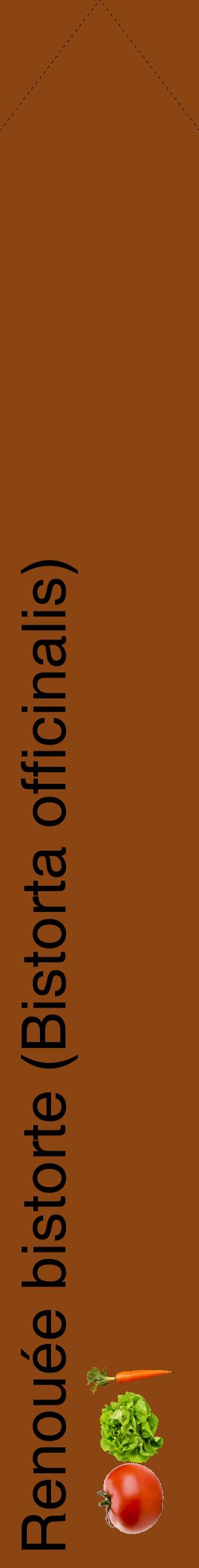 Étiquette de : Bistorta officinalis - format c - style noire30_simplehel avec comestibilité simplifiée