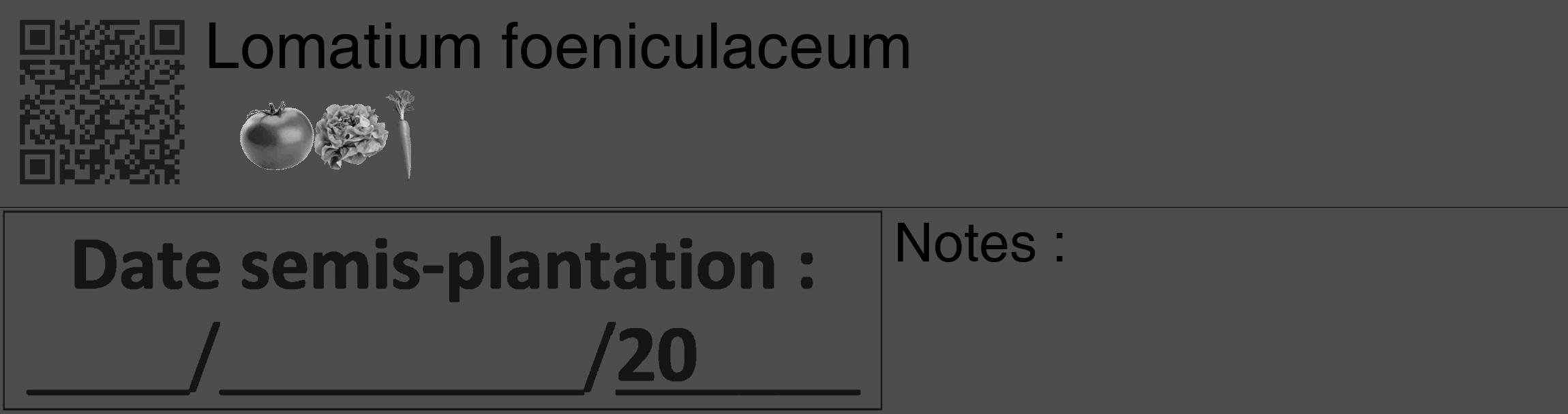 Étiquette de : Lomatium foeniculaceum - format c - style noire28_basique_basiquehel avec qrcode et comestibilité simplifiée