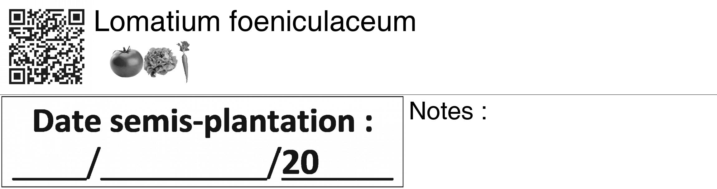 Étiquette de : Lomatium foeniculaceum - format c - style noire60_basiquegrrvhel avec qrcode et comestibilité simplifiée