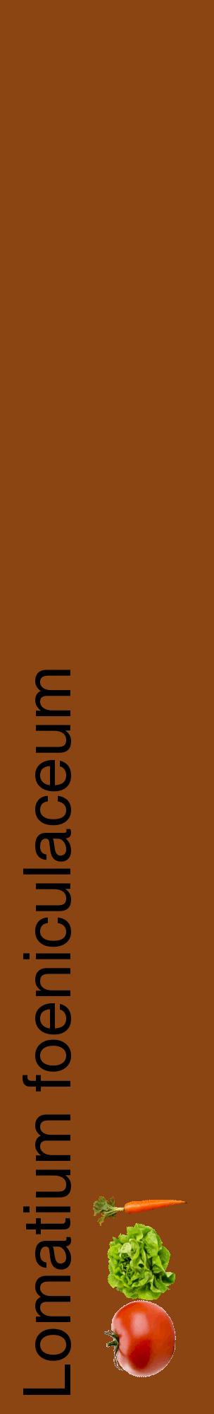 Étiquette de : Lomatium foeniculaceum - format c - style noire30_basiquehel avec comestibilité simplifiée