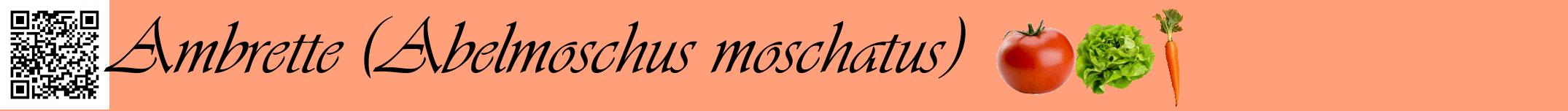 Étiquette de : Abelmoschus moschatus - format a - style noire39basiqueviv avec qrcode et comestibilité simplifiée