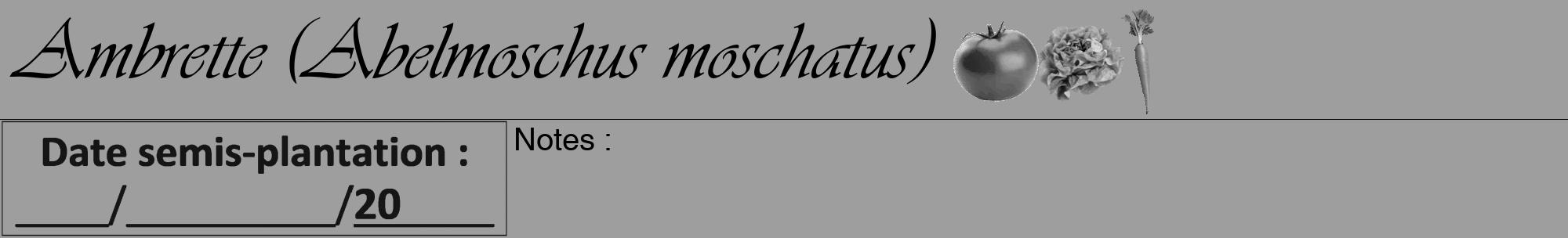 Étiquette de : Abelmoschus moschatus - format a - style noire23viv avec comestibilité simplifiée