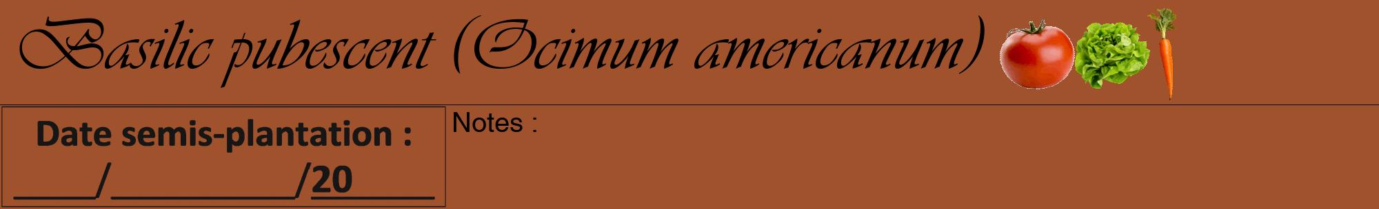 Étiquette de : Ocimum americanum - format a - style noire32viv avec comestibilité simplifiée