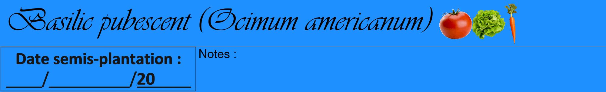 Étiquette de : Ocimum americanum - format a - style noire3viv avec comestibilité simplifiée