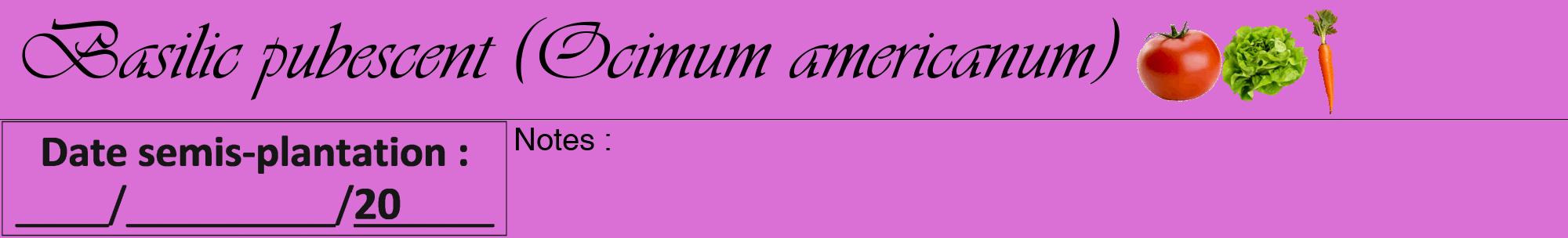 Étiquette de : Ocimum americanum - format a - style noire52viv avec comestibilité simplifiée