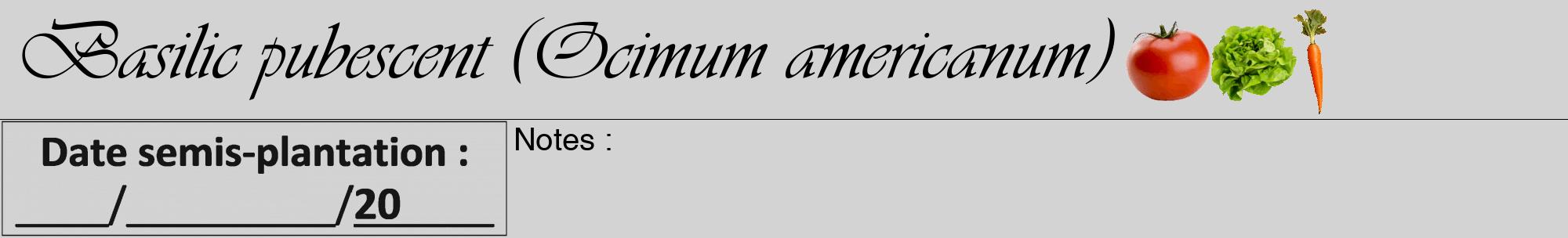 Étiquette de : Ocimum americanum - format a - style noire56viv avec comestibilité simplifiée