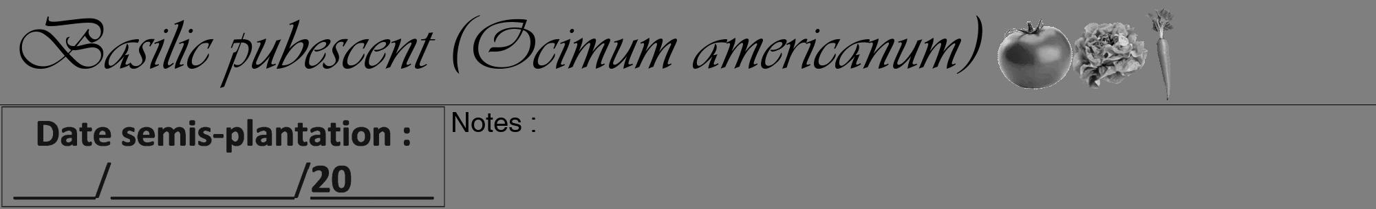 Étiquette de : Ocimum americanum - format a - style noire57viv avec comestibilité simplifiée