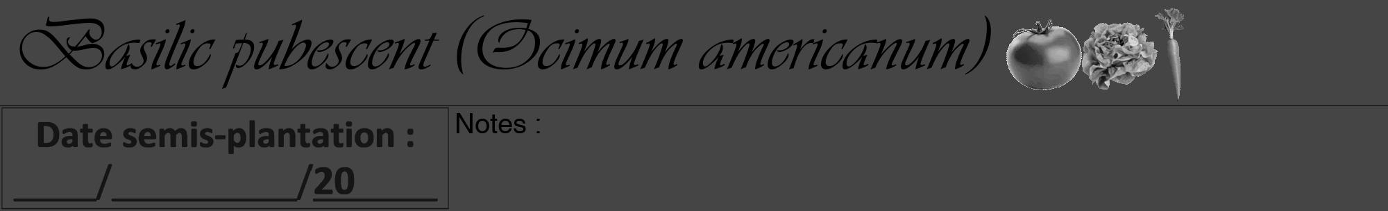 Étiquette de : Ocimum americanum - format a - style noire58viv avec comestibilité simplifiée