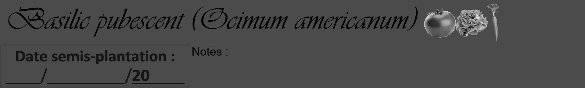 Étiquette de : Ocimum americanum - format a - style noire9viv avec comestibilité simplifiée