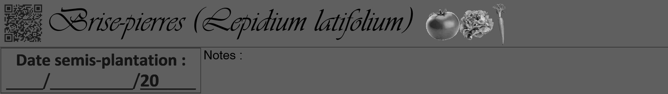 Étiquette de : Lepidium latifolium - format a - style noire10viv avec qrcode et comestibilité simplifiée