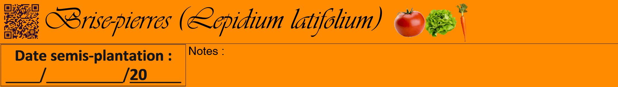 Étiquette de : Lepidium latifolium - format a - style noire23viv avec qrcode et comestibilité simplifiée