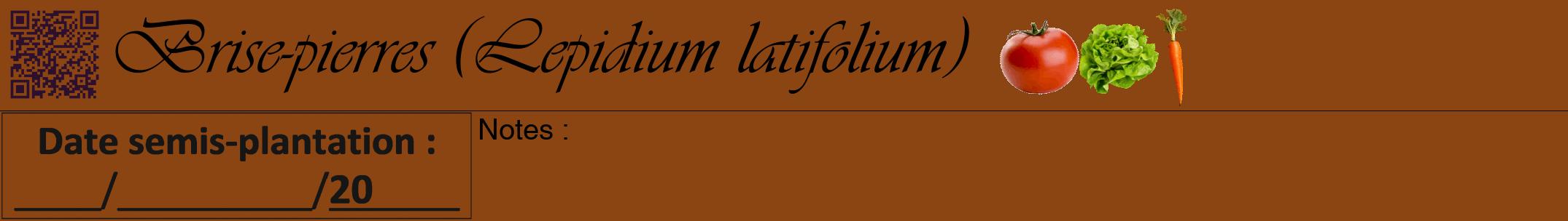 Étiquette de : Lepidium latifolium - format a - style noire30viv avec qrcode et comestibilité simplifiée