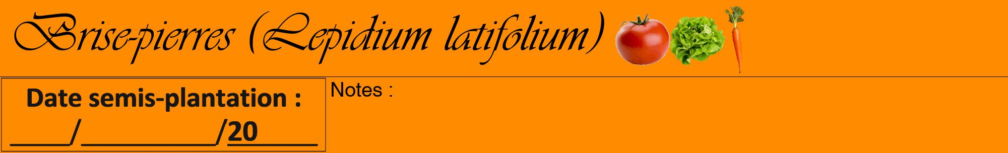 Étiquette de : Lepidium latifolium - format a - style noire23viv avec comestibilité simplifiée