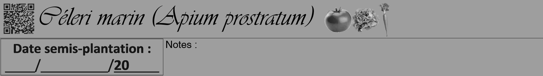 Étiquette de : Apium prostratum - format a - style noire42viv avec qrcode et comestibilité simplifiée