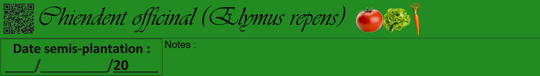 Étiquette de : Elymus repens - format a - style noire10viv avec qrcode et comestibilité simplifiée