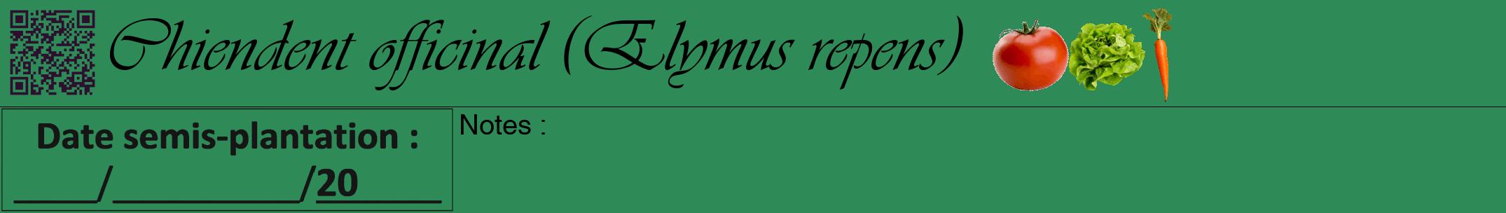 Étiquette de : Elymus repens - format a - style noire11viv avec qrcode et comestibilité simplifiée