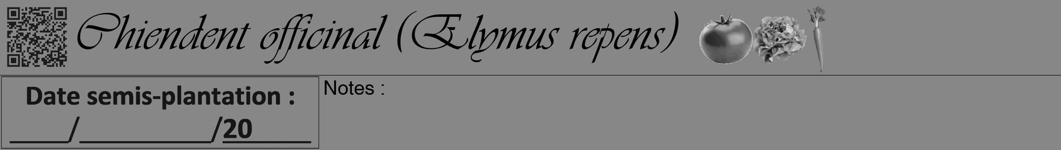 Étiquette de : Elymus repens - format a - style noire12viv avec qrcode et comestibilité simplifiée