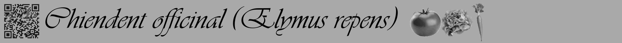Étiquette de : Elymus repens - format a - style noire13viv avec qrcode et comestibilité simplifiée