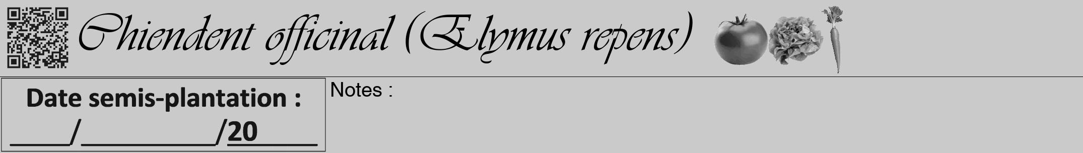 Étiquette de : Elymus repens - format a - style noire21viv avec qrcode et comestibilité simplifiée