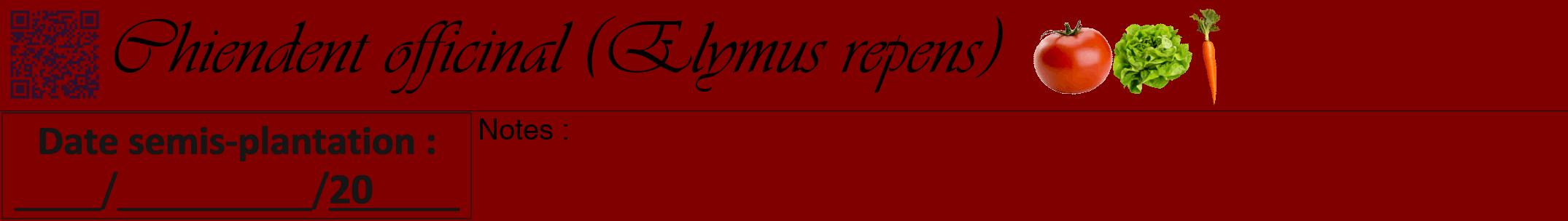 Étiquette de : Elymus repens - format a - style noire29viv avec qrcode et comestibilité simplifiée