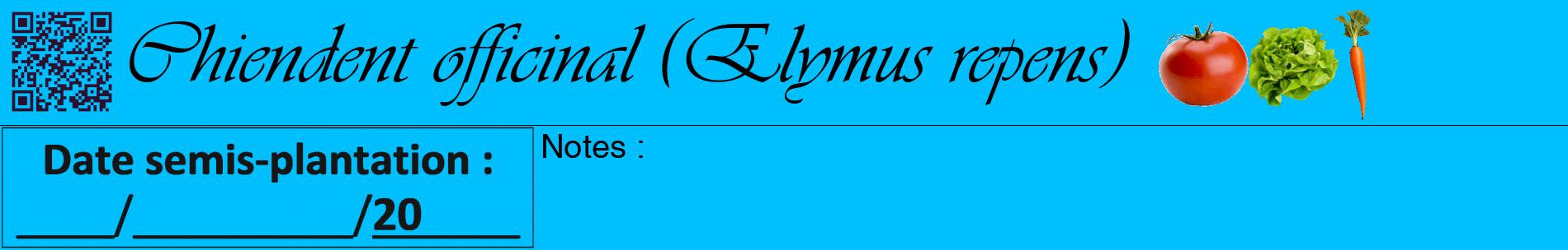 Étiquette de : Elymus repens - format a - style noire2basiqueviv avec qrcode et comestibilité simplifiée
