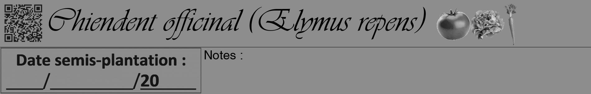 Étiquette de : Elymus repens - format a - style noire2basiqueviv avec qrcode et comestibilité simplifiée