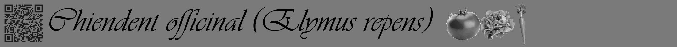 Étiquette de : Elymus repens - format a - style noire3viv avec qrcode et comestibilité simplifiée